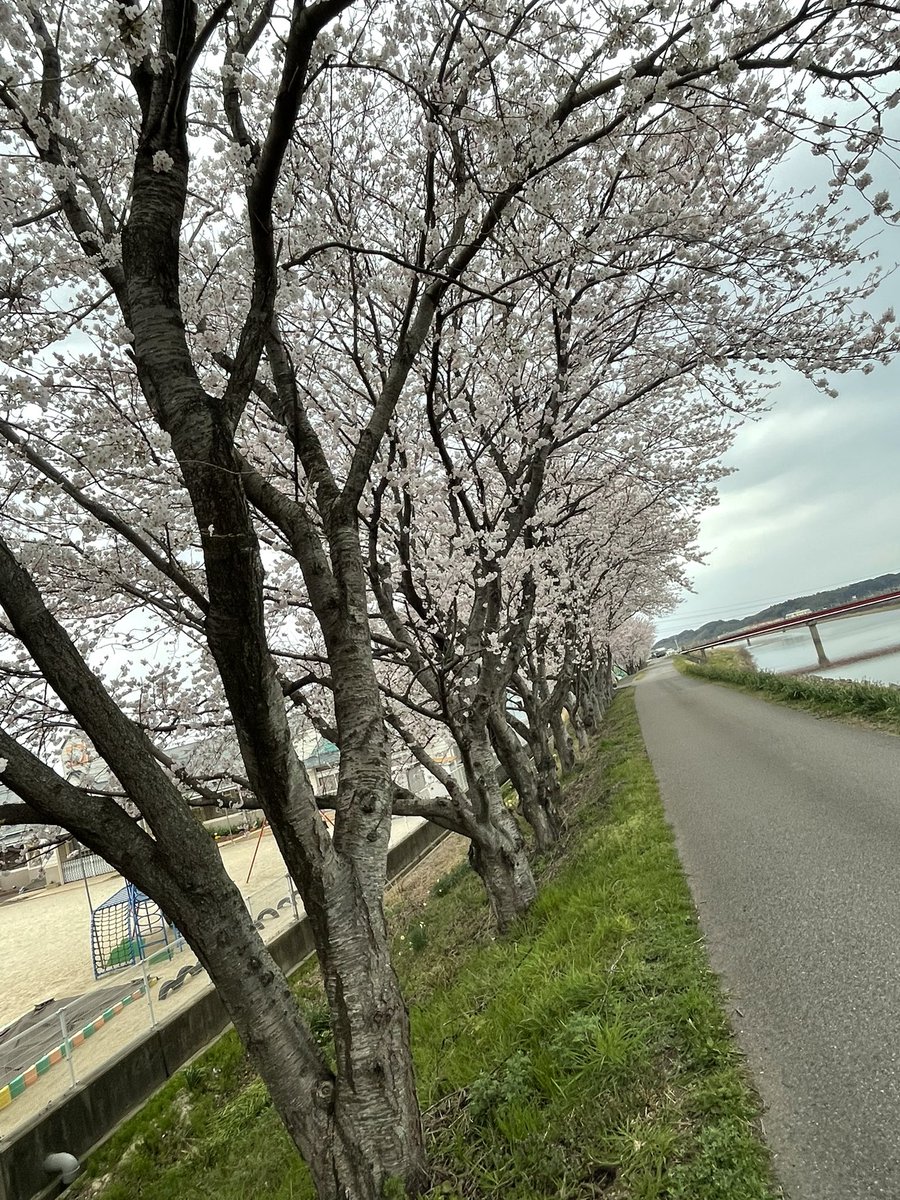 2MiiiM2's tweet photo. https://t.co/8fciHl2QF8