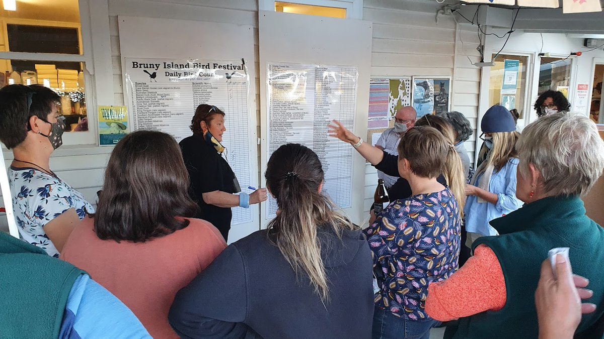 Bruny Island Bird Festival tweet media