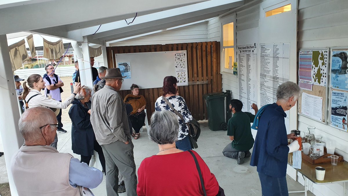 Bruny Island Bird Festival tweet media