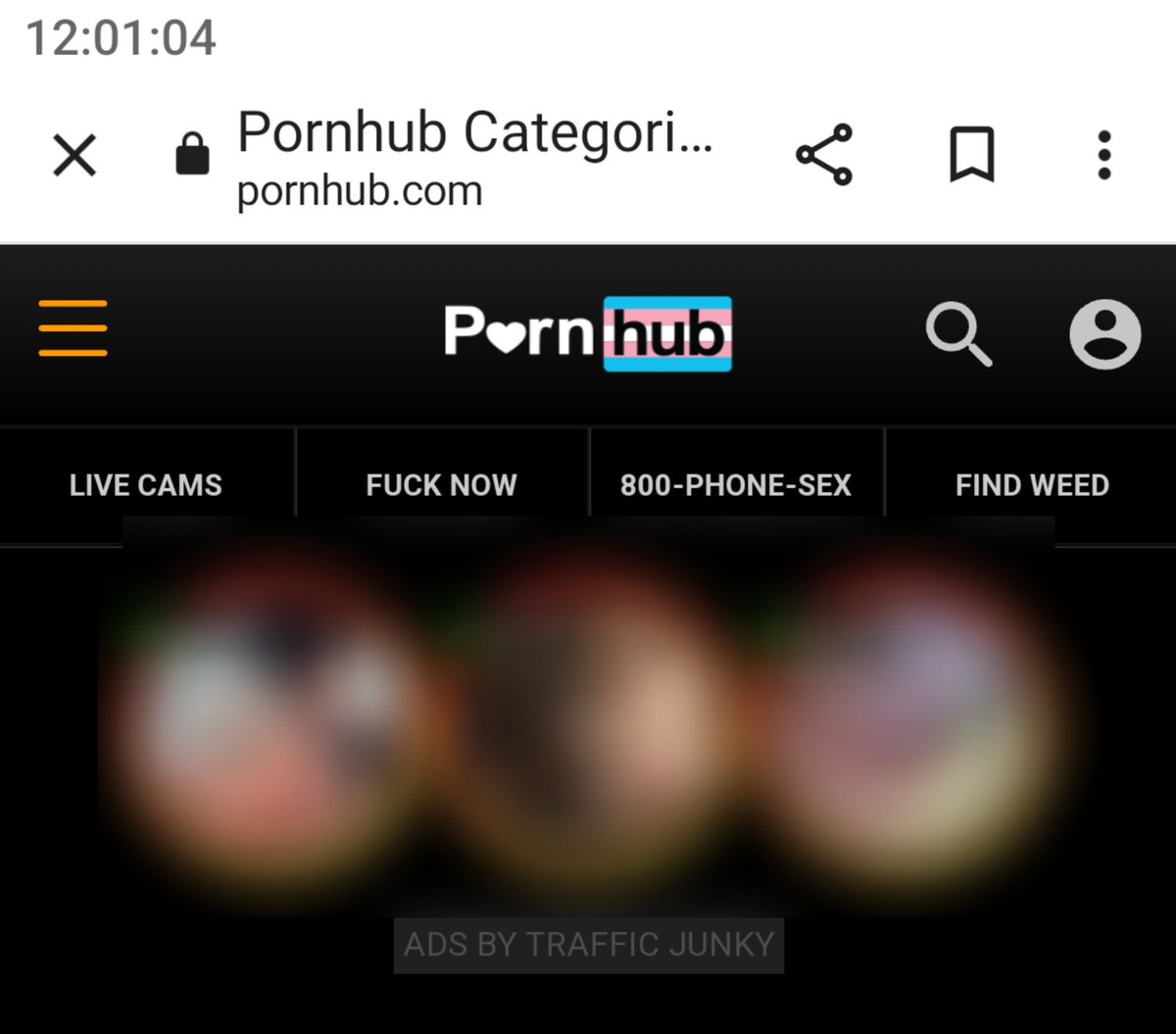 居然是真的喵(ㅇㅅㅇ❀)跨性别日的Pornhub居然有粉蓝白旗子...突然好奇它今天会不会都主要推送跨性别相关的Porn...？ 