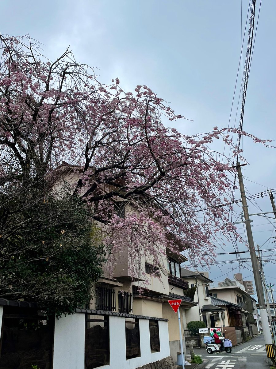 ロボジー ロケ地/撮影秘話 最新情報まとめ