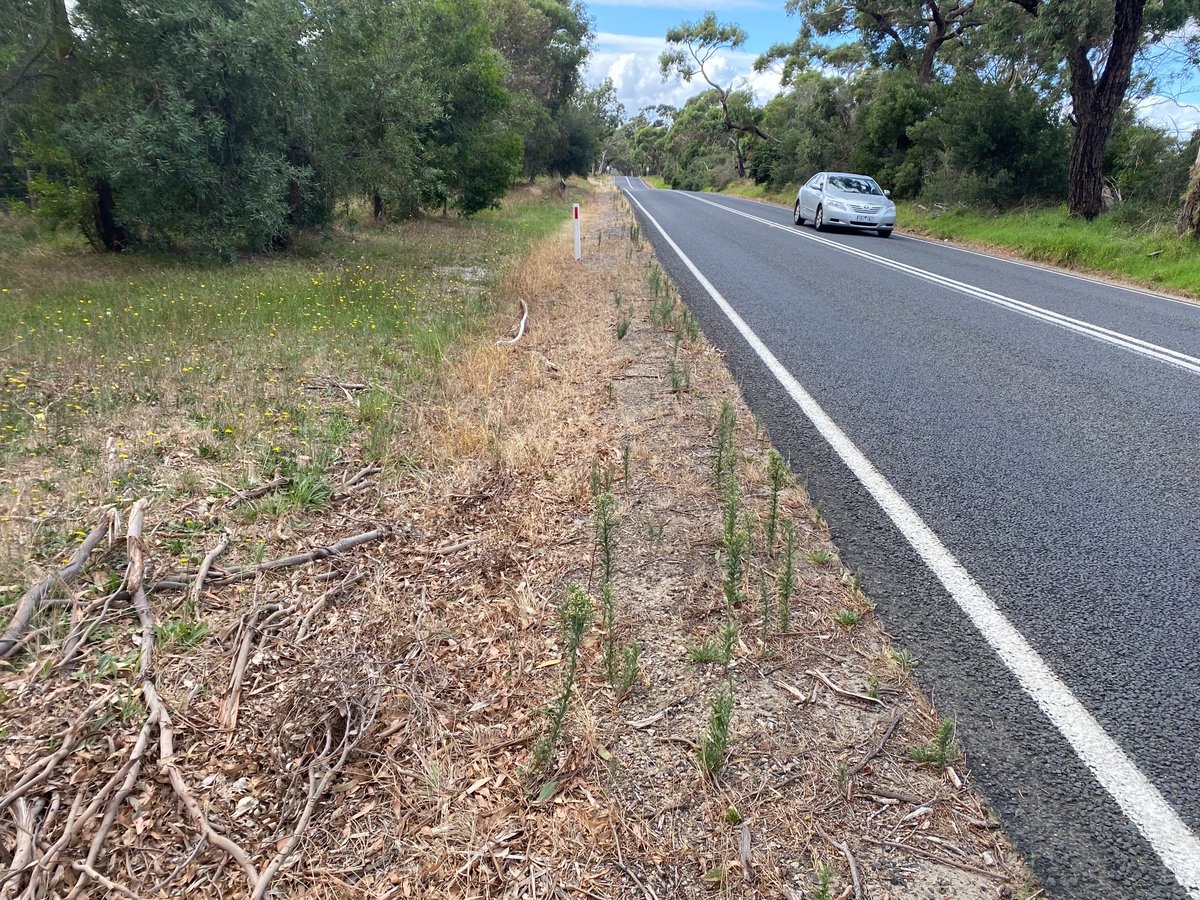 Starting to notice you aren't getting the same results as previous #herbicide applications? Starting to notice some #resistance with key #weeds? Ask us how #Esplanade pre-emergent #herbicide can assist. @Bayer4VegMgtAU 
environmentalscience.bayer.com.au/vegetation-man…