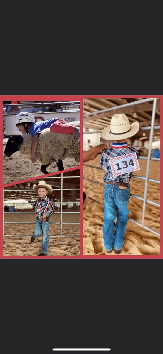 Mutton Bustin:  Back by Popular Demand..
Early Registration is open now....
Boys &amp; Girls 3 yrs to 70lbs. Don't miss this fun experience for the little ones.
strawberryfest.org