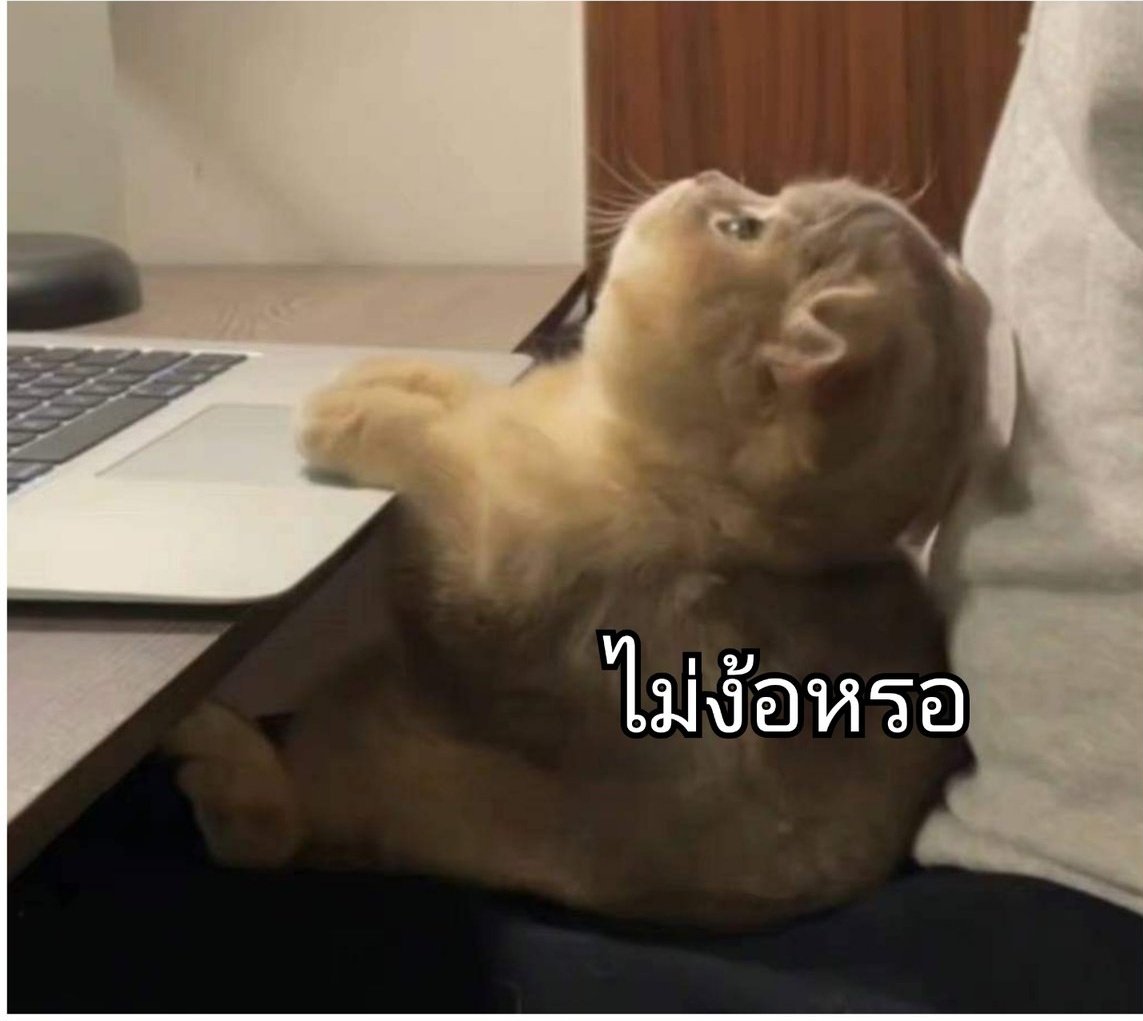 EveryHsm's tweet photo. @AlanYu72434158 https://t.co/5D10Ehfb33