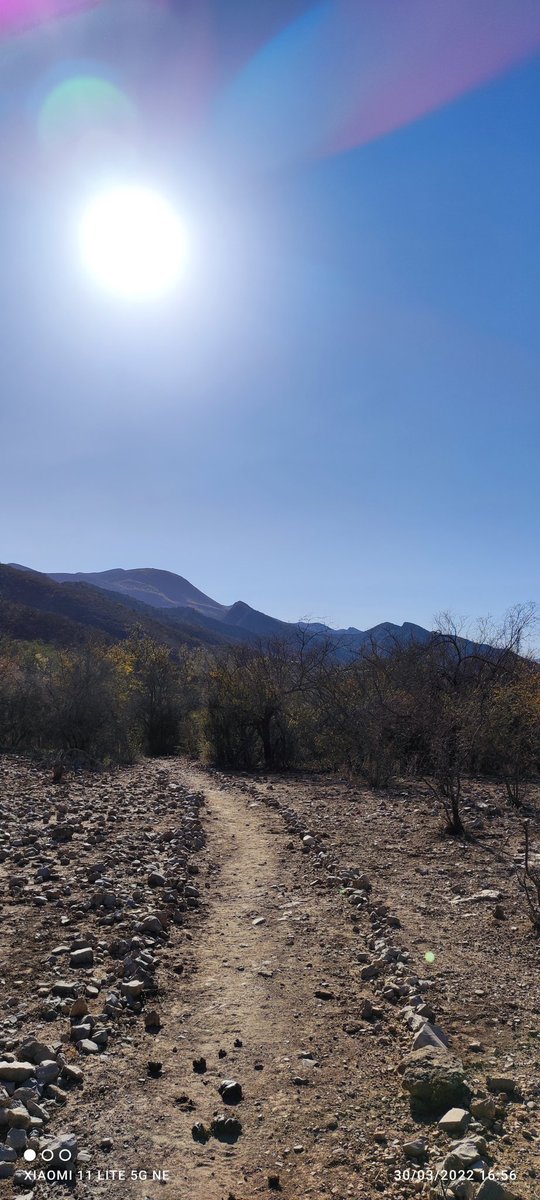 rigoo45's tweet photo. Buen trail en la verdad sierra de Múzquiz coahuila.mex. https://t.co/JDKsvRC5KP