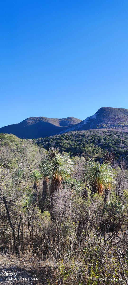 rigoo45's tweet photo. Buen trail en la verdad sierra de Múzquiz coahuila.mex. https://t.co/JDKsvRC5KP