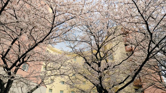 Twitterのコスプレ画像57