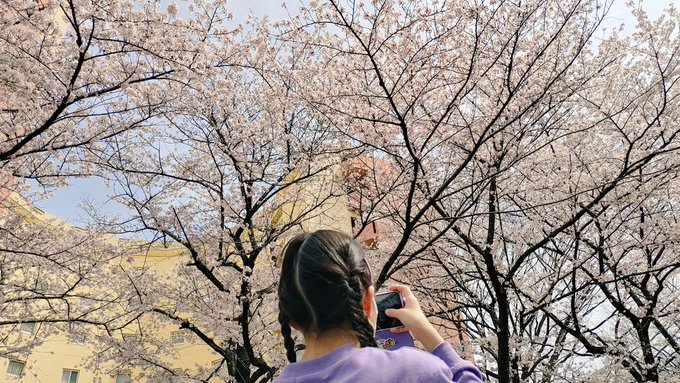 Twitterのコスプレ画像56