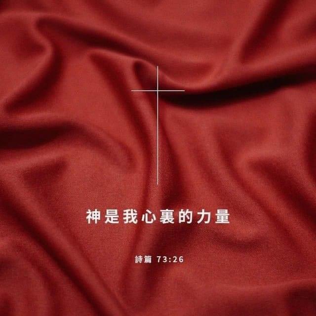 Circle00119's tweet photo. 惟有神断定；
他使这人降卑，使那人升高。
(诗篇 75:7 ) https://t.co/YIRYjMQvC4