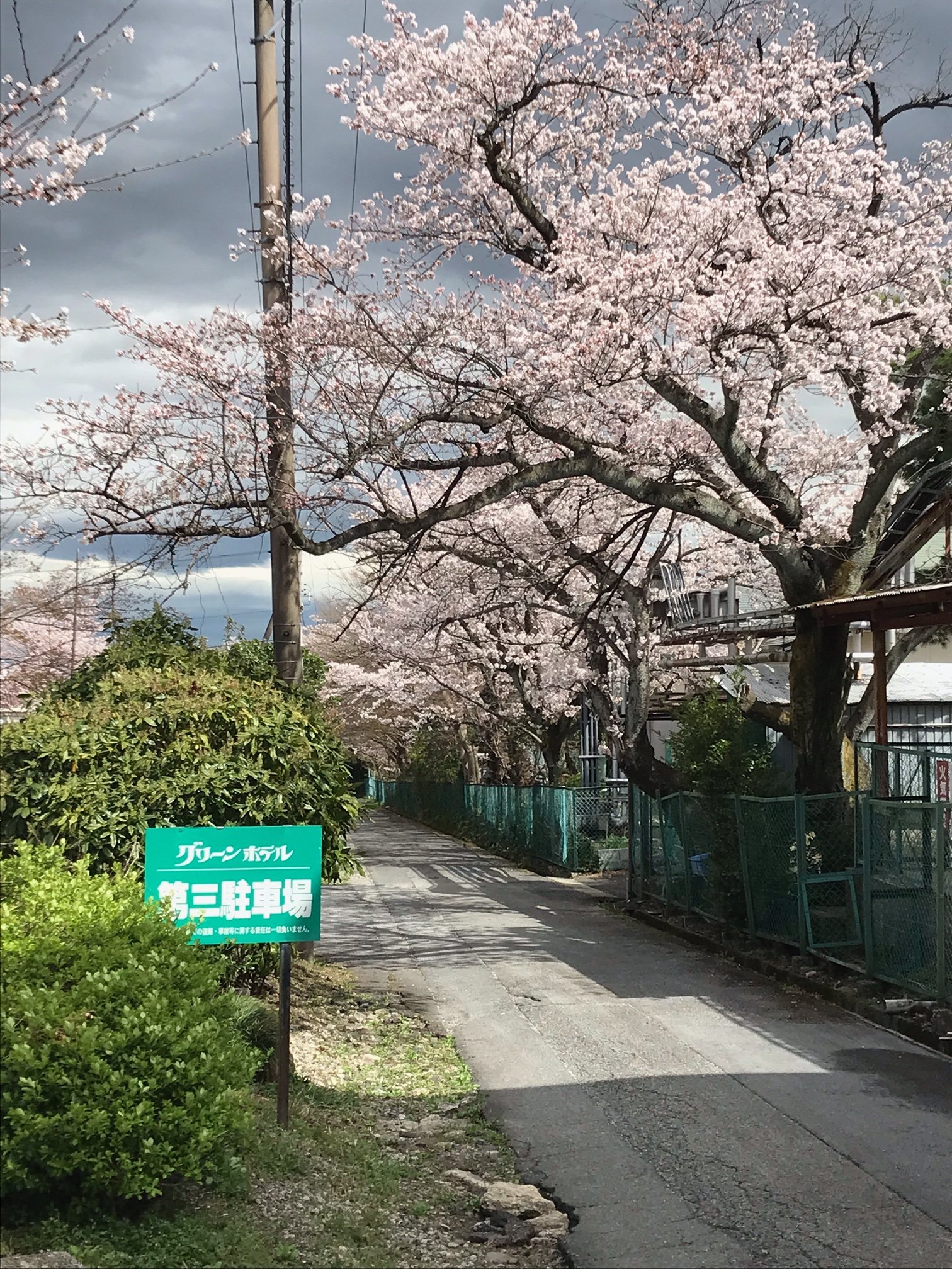 湯の山温泉グリーンホテル Yunoyama Green Twitter