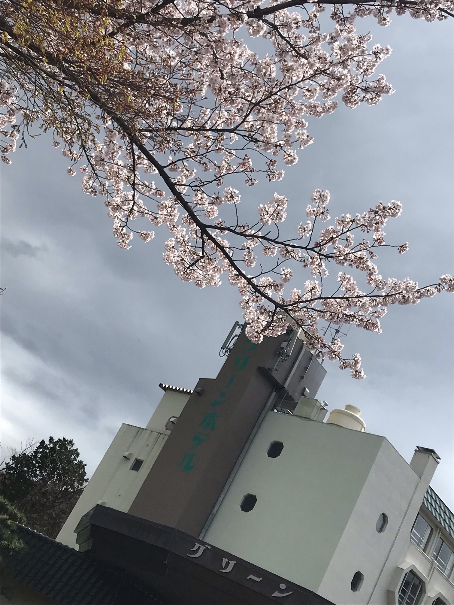湯の山温泉グリーンホテル Yunoyama Green Twitter