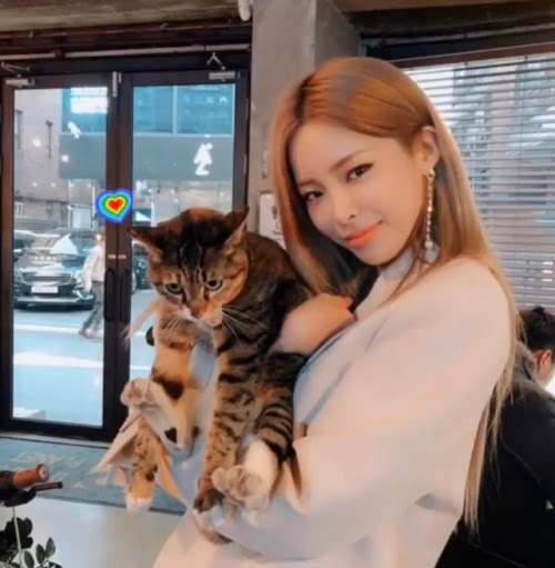 adoeraa's tweet photo. ️
️
️𝘄𝗮𝗹𝗽𝘂𝗿𝗴𝗶𝘀𝗲𝘂 :
️
HALO SEMUAAA 👋🏻👋🏻
Buat kalian yang lagi bingung akhir bulan mau kemana, dateng aja yuk ke acara yang diadain sama ️ @JejakPawsie dan @scarlettahome untuk launching produk baru mereka.
Bakal ada banyak hewan juga lho disana Paw Lovers.

️ https://t.co/cDP8cGUTKa