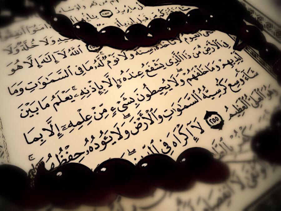 iYarbb's tweet photo. https://t.co/R6tY9Zhgs9