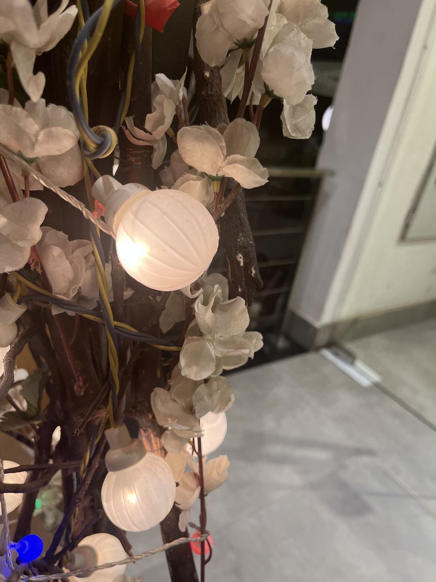 IslamabadHQ's tweet photo. A juice corner #GreenBae at Bhittai Rd, F-7 Markaz Isb, over year has stupidly fixed sharp pointed cut pieces tree branches, iron nails &amp; other sharp dangerous objects on entrance. So many clients cut or wounded their body but the management is deaf to complaints
@dcislamabad https://t.co/Mmz678gjKt