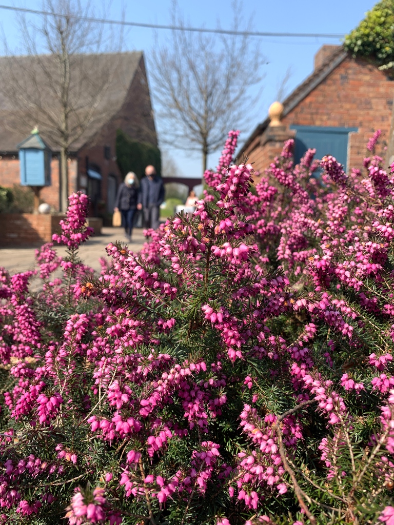 Shop, Dine, Relax and Enjoy at Heart of the Country Village. Browse our independent shops, dine in one of our fabulous independent restaurants, relax at our award-winning hair salon and enjoy some time outside in our woodland. The choice is yours!
#lichfield #suttoncoldfield