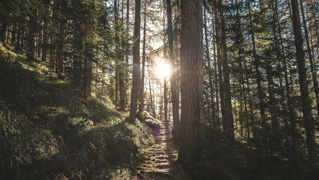 happierout's tweet photo. What is "calm" anyway? Calm-in-a-storm kinda calm. 

Find out.

Mindfulness in Nature starts Monday at 9am. Come join us! https://t.co/ugqCTIdnjK

#outdoorlife #mindfulness #midcoastmaine #stressbuster #innercalm #community https://t.co/Mxm7N20QkU