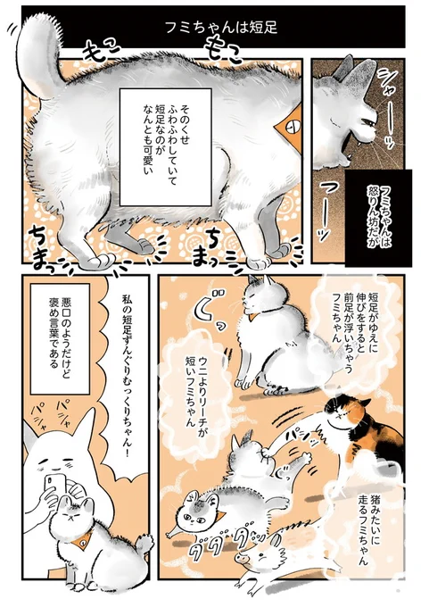 『フミちゃんは短足』 