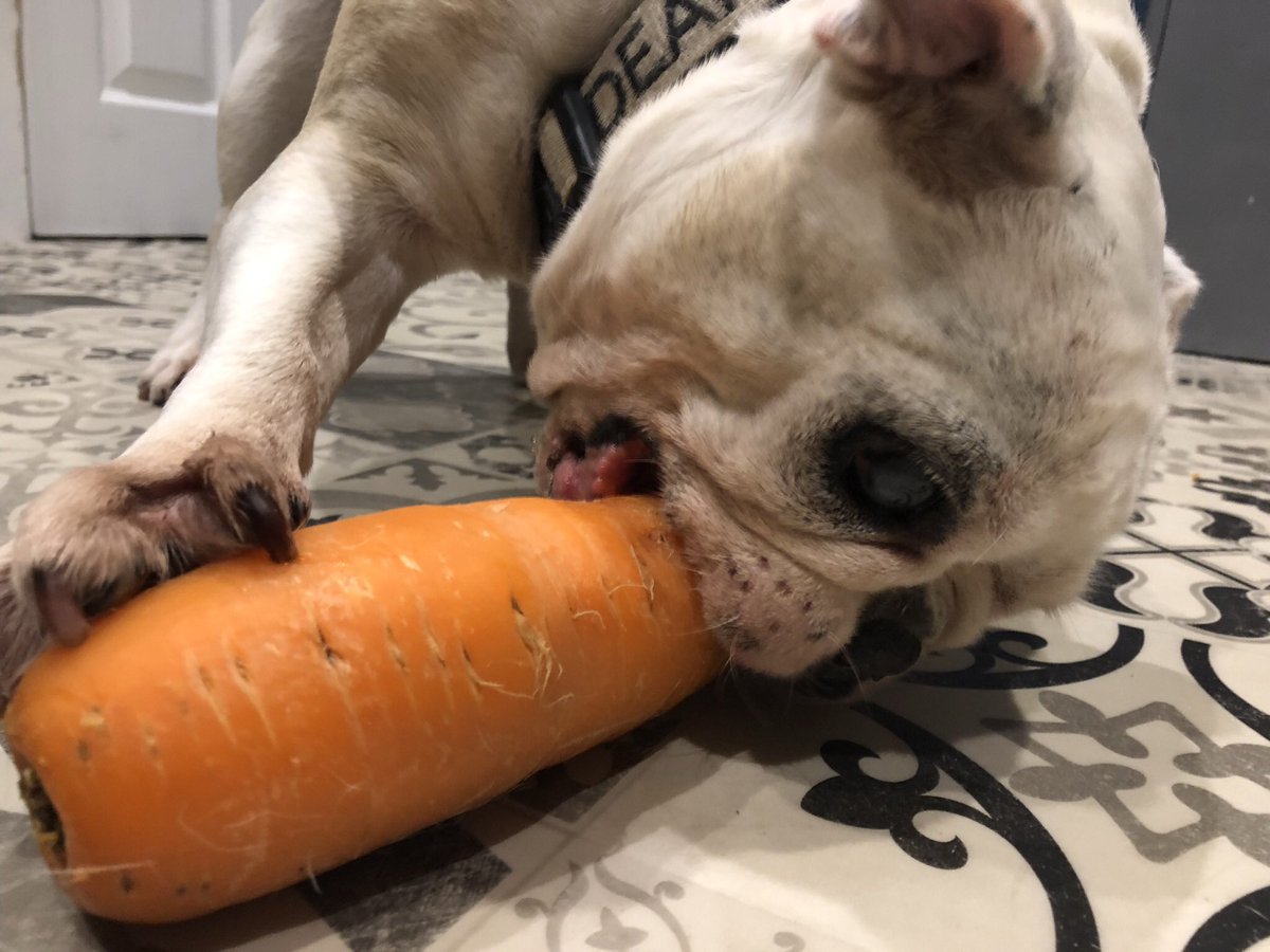 Stephen Porton tweet media