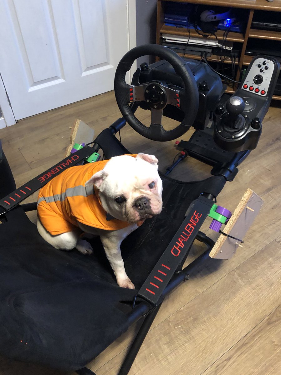 Stephen Porton tweet media