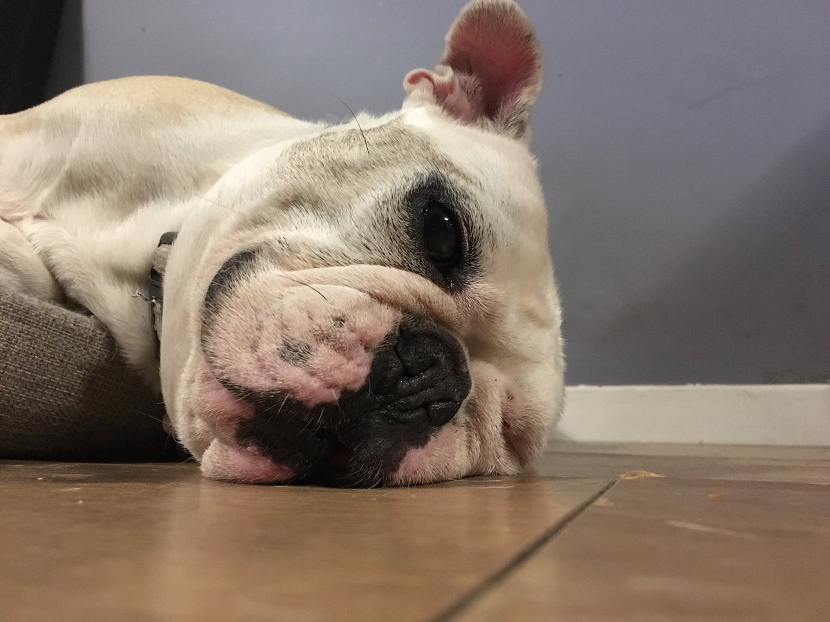 Stephen Porton tweet media