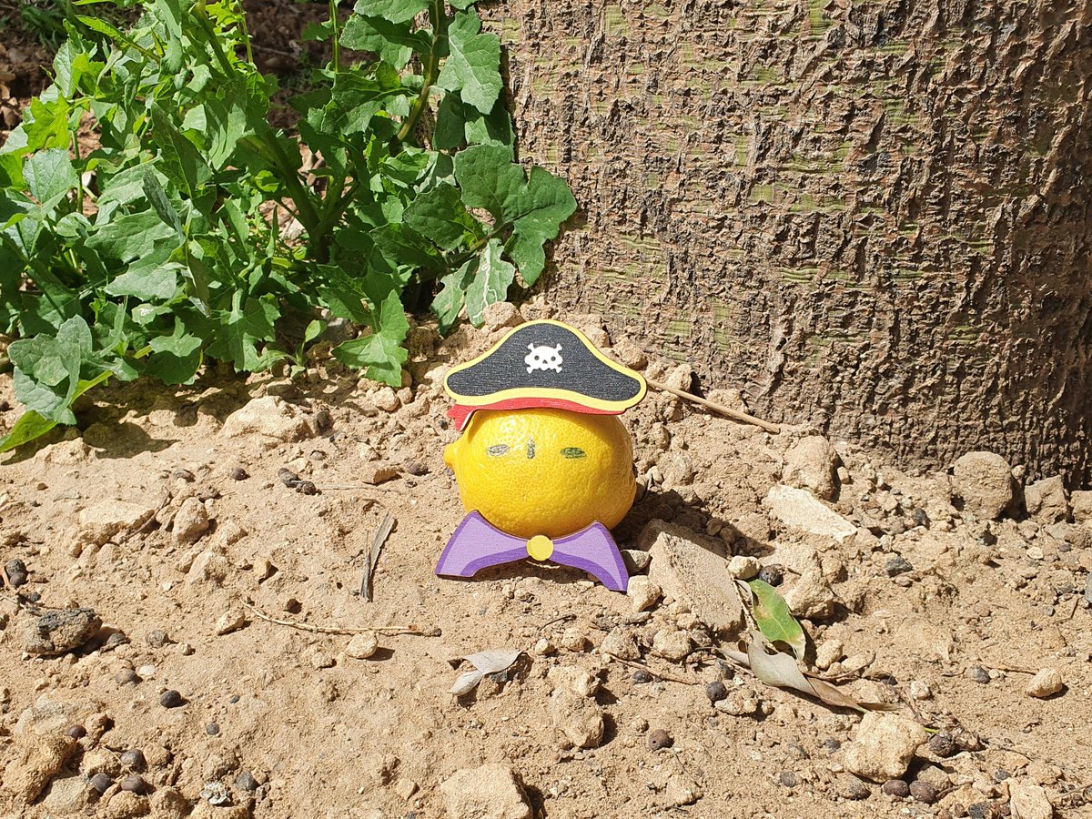 I left it like that in a tree field, hoping it would get into the right hands 🤫  <a href="/LittlelemonsNFT/">Little Lemon Friends</a>