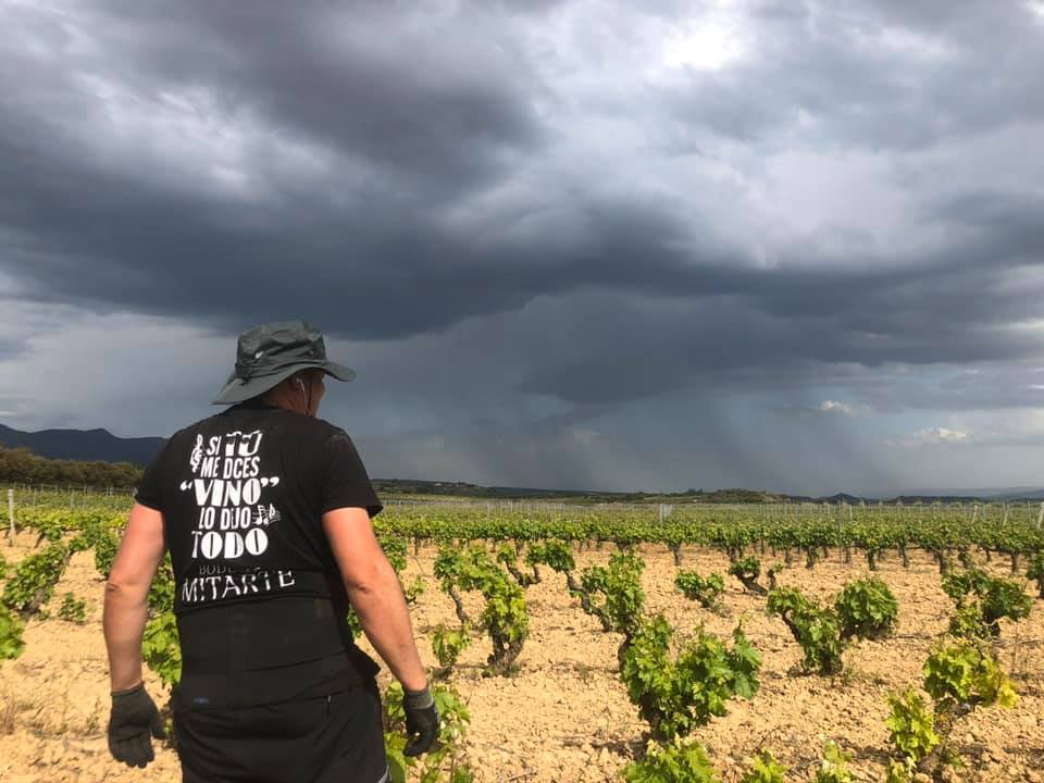 <a href="/BodegasMitarte/">Bodegas Mitarte</a> - Obra del genio y de la tierra.

Trabajan sus propios viñedos desde 1992. Sus vinos son muy personales, marcados por su variado clima y terruño, el cual llevan mimando generación a generación.

#FONDOSFEADER
#LaguardiaRiojaAlavesa #RiojaAlavesa #Alava #Laguardia