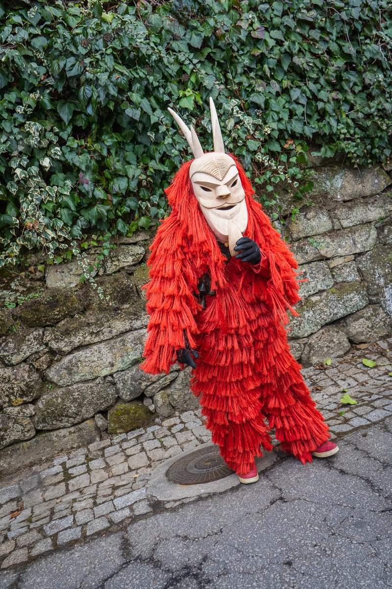 dumundo_e's tweet photo. Carnival in Lazarim 2022 🤠
#Carnaval2022 #beautifuldestinations #destination #wanderlust #Portugal https://t.co/abNpn0Yypm