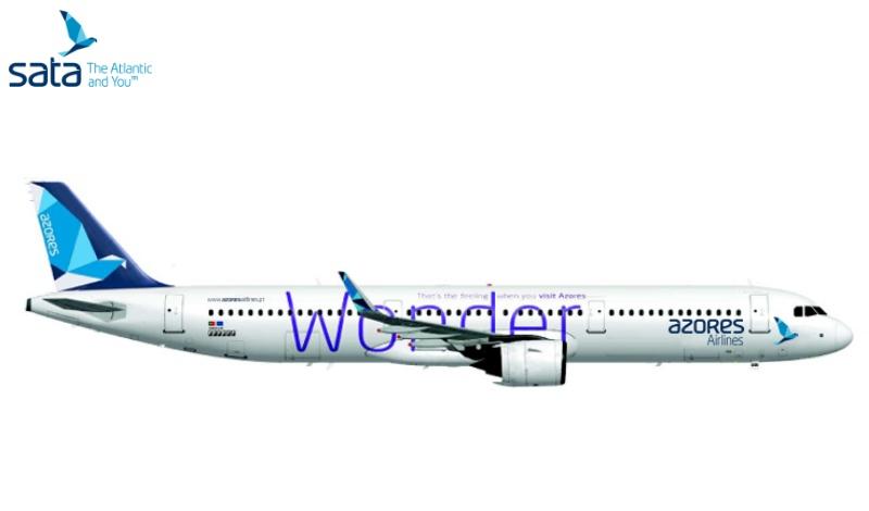 bolsa weight american airlines