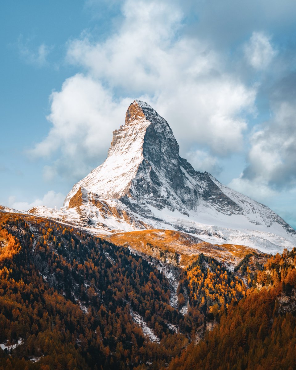 Michael Boegl tweet media