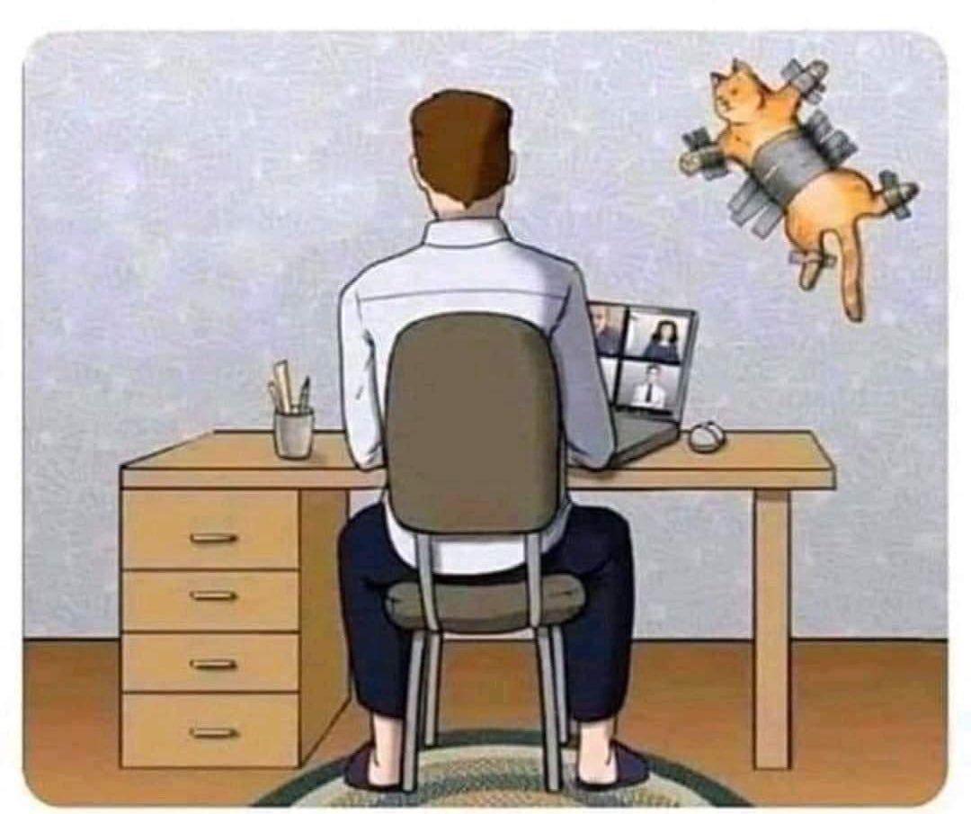 TradeGraders's tweet photo. How to prepare for a trade 😂😂😂#cryptocurrency #trading #memecoin #cryptotrading #100xgem #fulltrade https://t.co/kNKCMkbcIE
