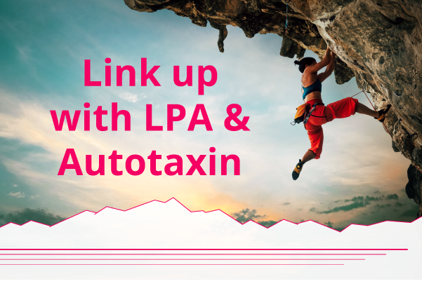 Mobitec5's tweet photo. The #Autotaxin-#LysophosphatidicAcid (ATX-LPA) axis is a well-characterized signaling pathway known to be aberrantly regulated in many types of cancer. ATX remains an attractive target for drug discovery due to its role in the tumor microenvironment and chronic inflammation. https://t.co/spPGfkngef