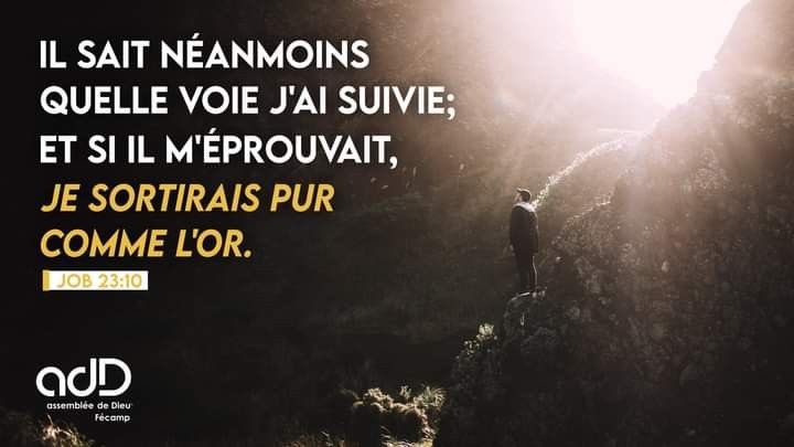 Amira Mourad Lobognon ن J Ai Appris A M Accommoder A Toutes Les Situations Et Toutes Les Circonstances Ph 4 11 Dieu Nous Rend Capables D Etre Satisfaits En Tout Temps Par Les Epreuves