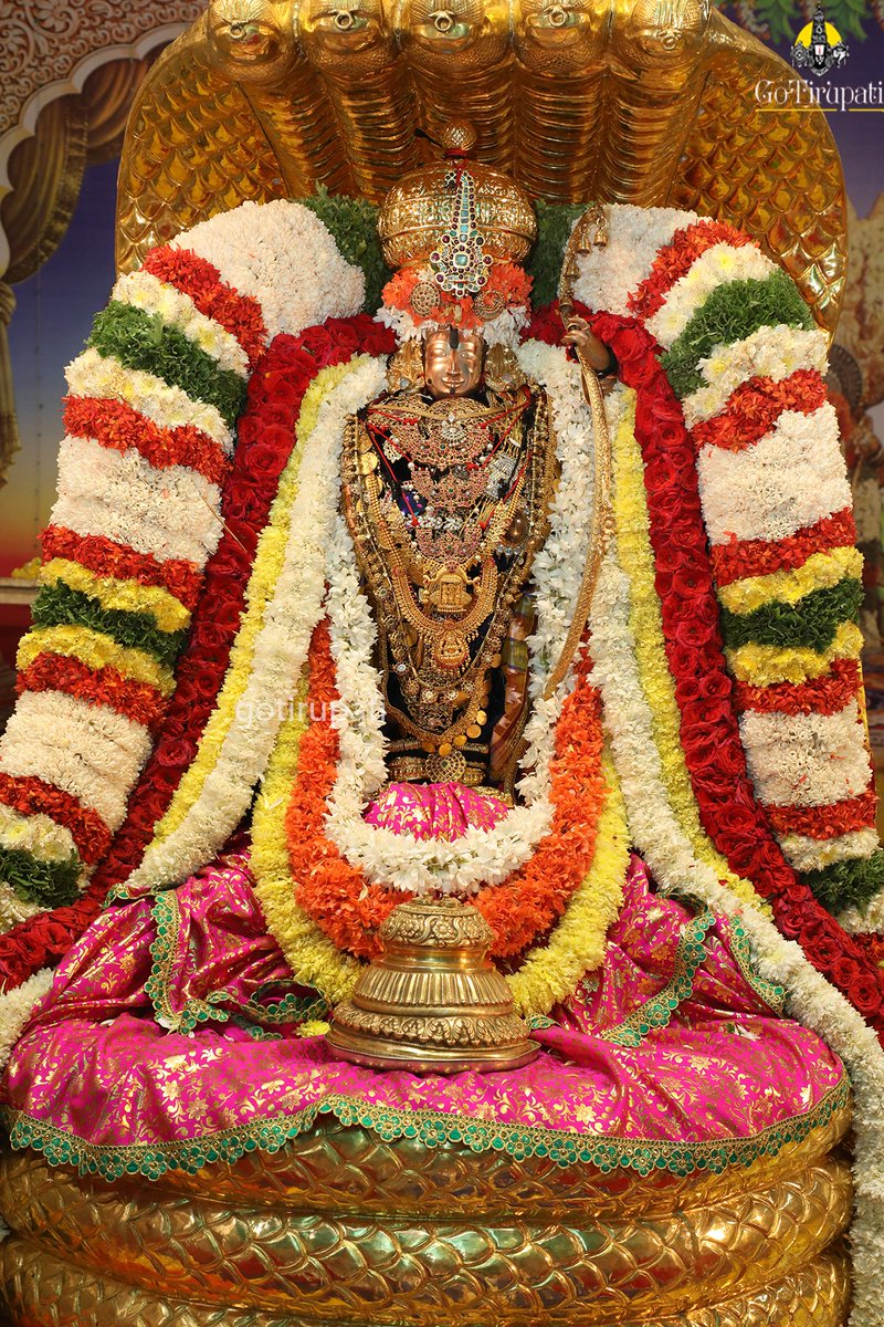 GoTirupati's tweet photo. Sri Kodanda Rama Swamy Chinna Sesha Vahana Seva https://t.co/crMIkBCt6U