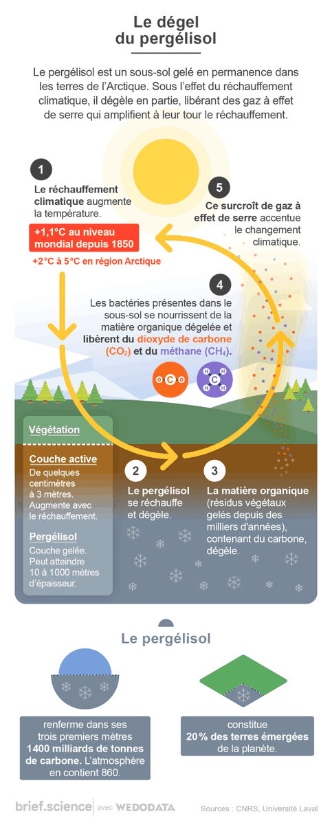 #pergelisol ou #permafrost expliqué #rechauffementclimatique