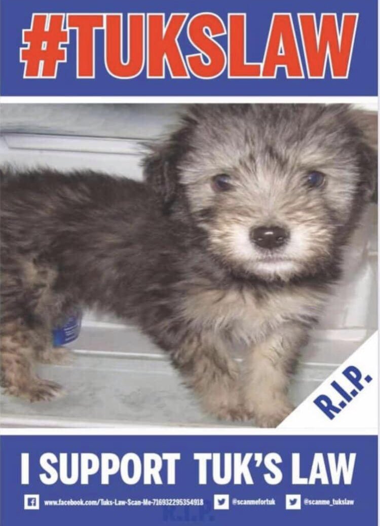 Please complete and share this government consultation. We have to ensure that Rescue Back Up registration is quickly identified and a separate field is dedicated to keeping our animals safe.

Please also ask your followers to complete.

TY 

facebook.com/71693229535491…

<a href="/JaneFallon/">Jane Fallon</a>