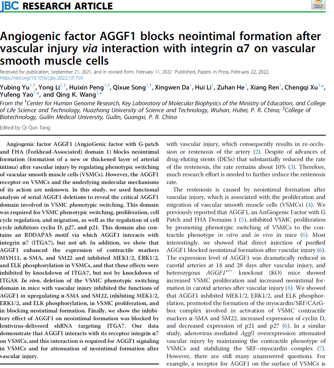 Qing Kenneth Wang (@qingkenneth) on Twitter photo 