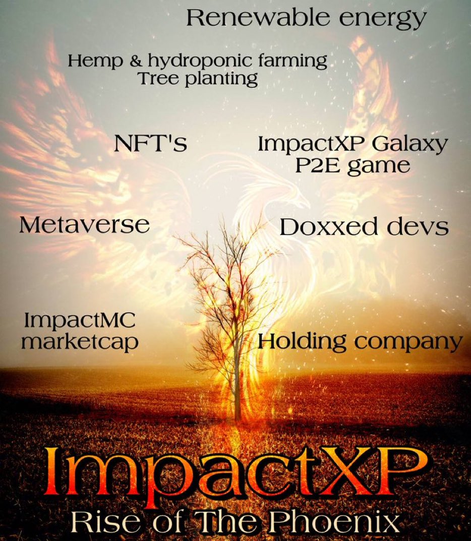 Gouryella__NL's tweet photo. #PrincessMeetsElon
#ImpactXP will melt faces, #renewableenergy is these days very very important, governments will join and so we are INEVITABLE! #ImpactXPToken #IMPACTors @elonmusk @JadFarah12 @saitamaprincezz @karatademada @jo_rifa https://t.co/jPey6K4yGG