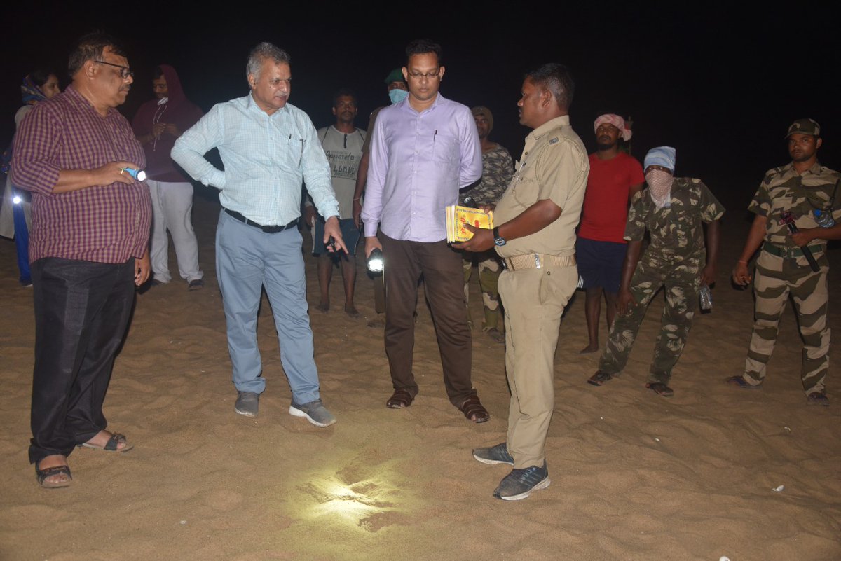 dfobhmpr's tweet photo. #Day5
#arribada of rushikulya #oliveridley sea turtles continues in a vigorous pace ( 30.03.22 afternoon to 31.03.22- 9 am). Total nests= 94,863
Previous 3,29,438+today 94,863
Total till now= 4,24,301
@CMO_Odisha @ForestDeptt @pccfodisha @PCCFWL_Odisha @RBerhampur @Ganjam_Admin https://t.co/tnBpCjp40U
