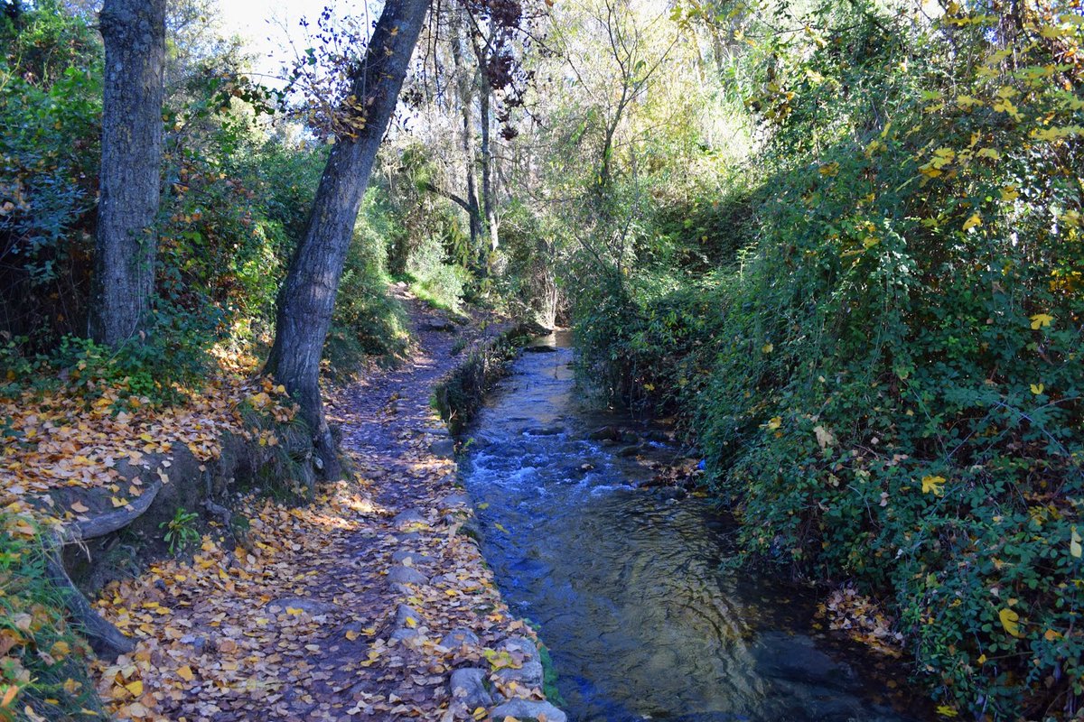NoSiesting's tweet photo. No plans for this spring break? Don't worry, we got the perfect ones for you!

Come and book your guided hike with us, through the most astonishing trails of Sierra de Grazalema in Cádiz!
#OutdoorAttitude #springbreak2022 #hikingday

More info:
https://t.co/Dn5oeDT4yU https://t.co/2uZnetJRM3