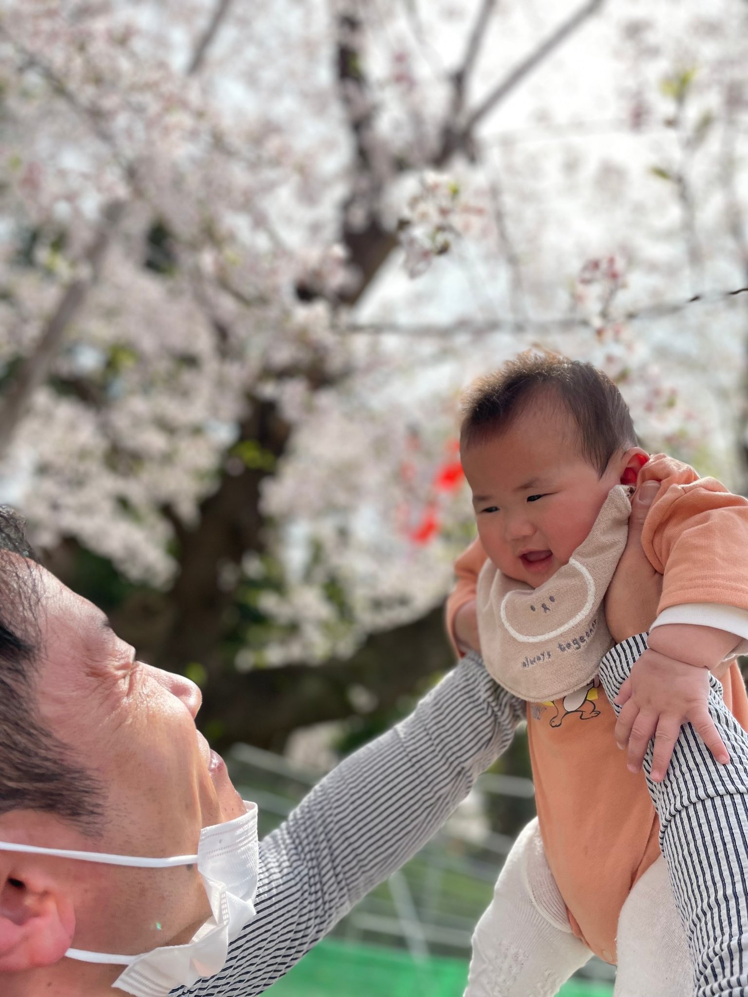 初めてのお花見 Twitter Search Twitter