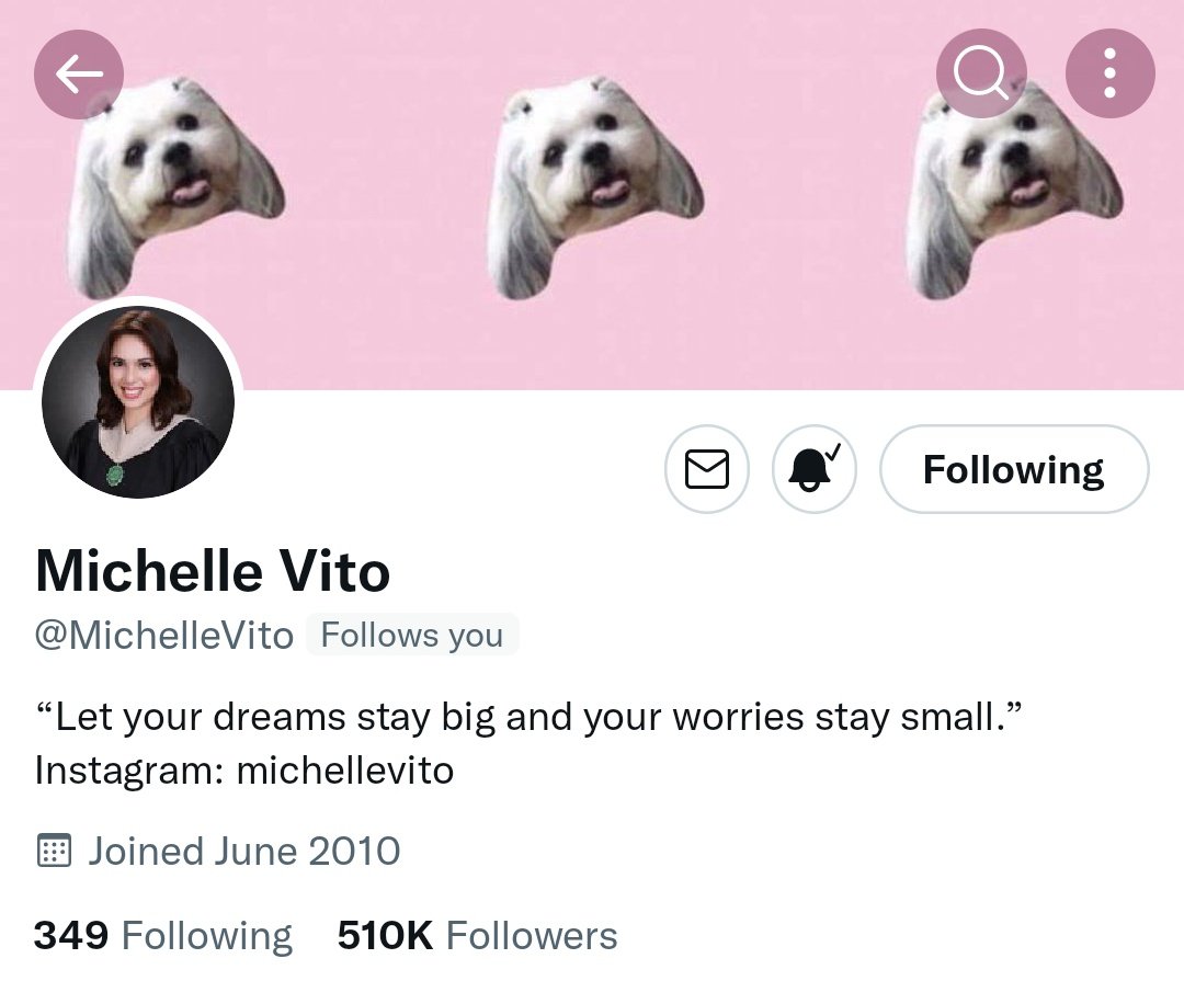 SOLIDMICHELLE's tweet photo. I am so blessed that Michelle continues to follow me on Twitter, despite my recent inactivity due to school. Thank you very much! I'll keep loving you! 🥺❤️‍🔥 @MichelleVito https://t.co/bt0HOCaTIh