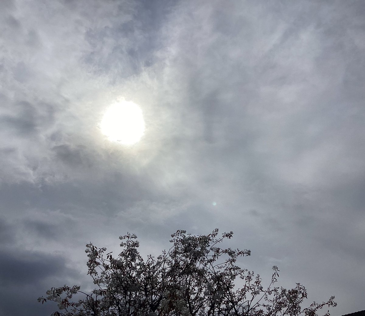 ol2016's tweet image. Hier schijnt het zonnetje 😃 #lansingerland #rotterdam @EdAldus @BuienRadarNL #sneeuw