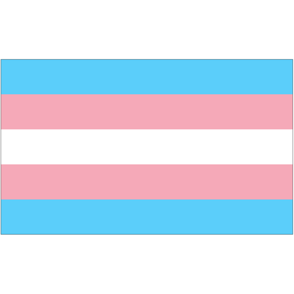 It's Trans Day of Visibility and to any and all Trans folk out there whether you are out and proud or still yet to discover yourself, be you, regardless of anyone else. Finding yourself is the hardest task and I wish you the best luck in the world #TransDayOfVisibility #TDOV
