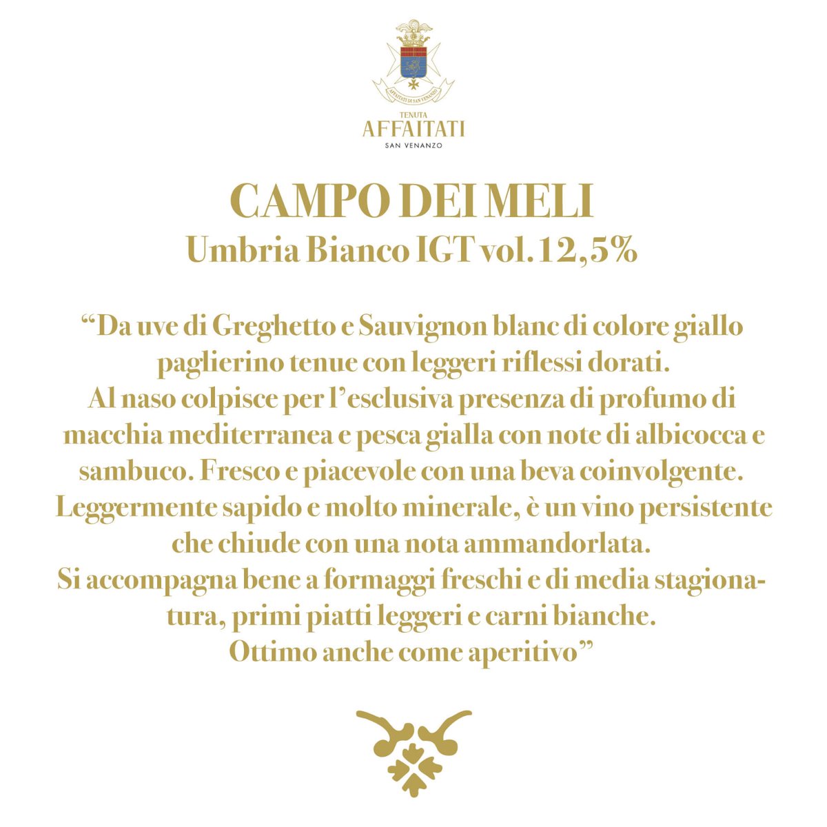 TAffaitati's tweet photo. Campo Dei Meli 
#tenutaaffaitati #umbria #sanvenanzo #eccellenzeitaliane #vinitaly https://t.co/CJqT6zMjnf