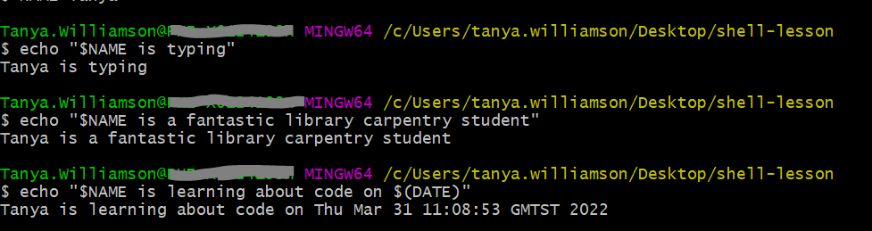 TanyaLibrarian's tweet photo. I'm in Day 2 of #LibraryCarpentry. Going very, very slowly but starting to enjoy it. Reminding me of watching my mum programming the game 'Pangolin' on the ZX Spectrum in 1980-something. I won't be hacking the Pentagon/Matrix any time soon... https://t.co/SiN0aLGjeR
