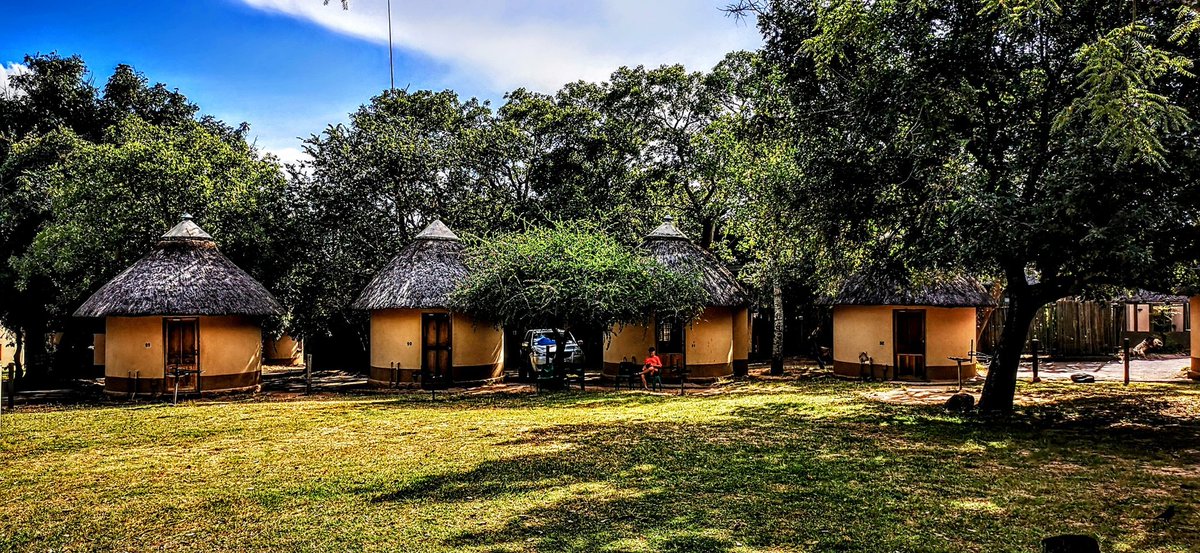 DiaryBags's tweet photo. It's #AdventureThursday time!
Pretoriuskop is such a quaint camp it's like you stepping back in time.
Check out our vlog on YouTube π
https://t.co/RCGul4tmLJ
#Travel
#YouTube #wildlifephotography #krugerpark #Pretoriuskop
#traveldestinations
#wildlifelovers
#Safari #Video https://t.co/U46oz6RXkd