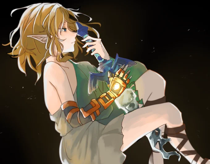 マスターソード#ゼルダの伝説 #zelda #botw2 #BreathoftheWild2 #SkywardSword 