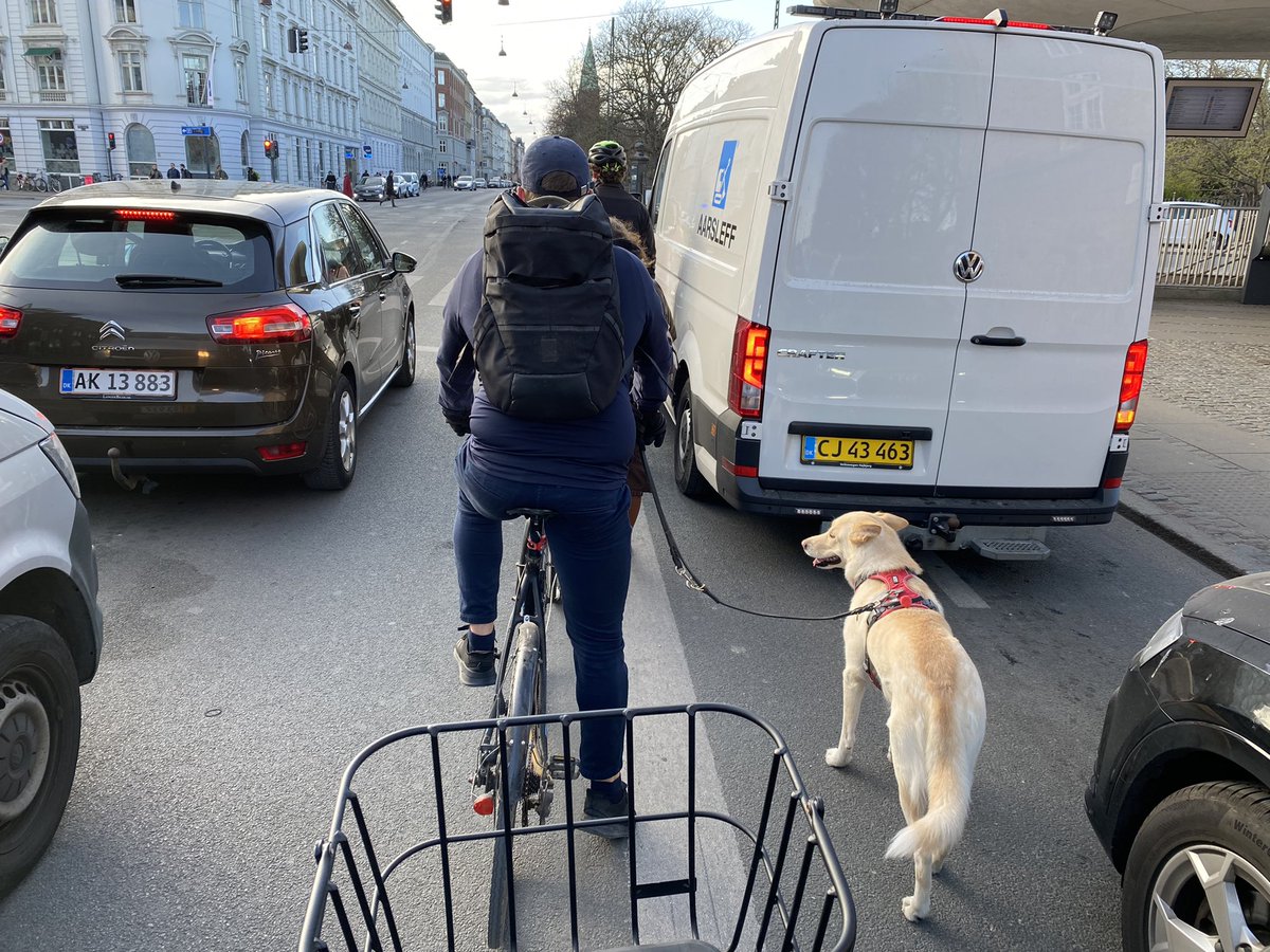 HalfassBackward's tweet image. Responsible dog owner? In the middle of rush hour traffic #humanssuck