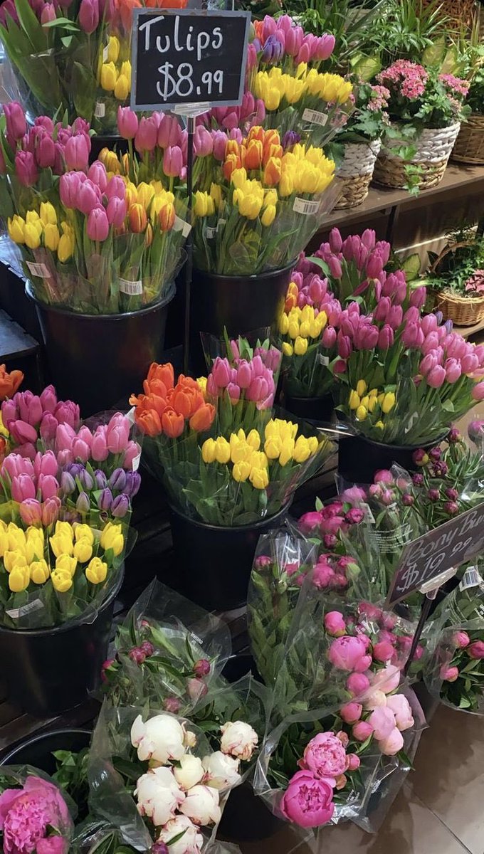 tulips makes me happy