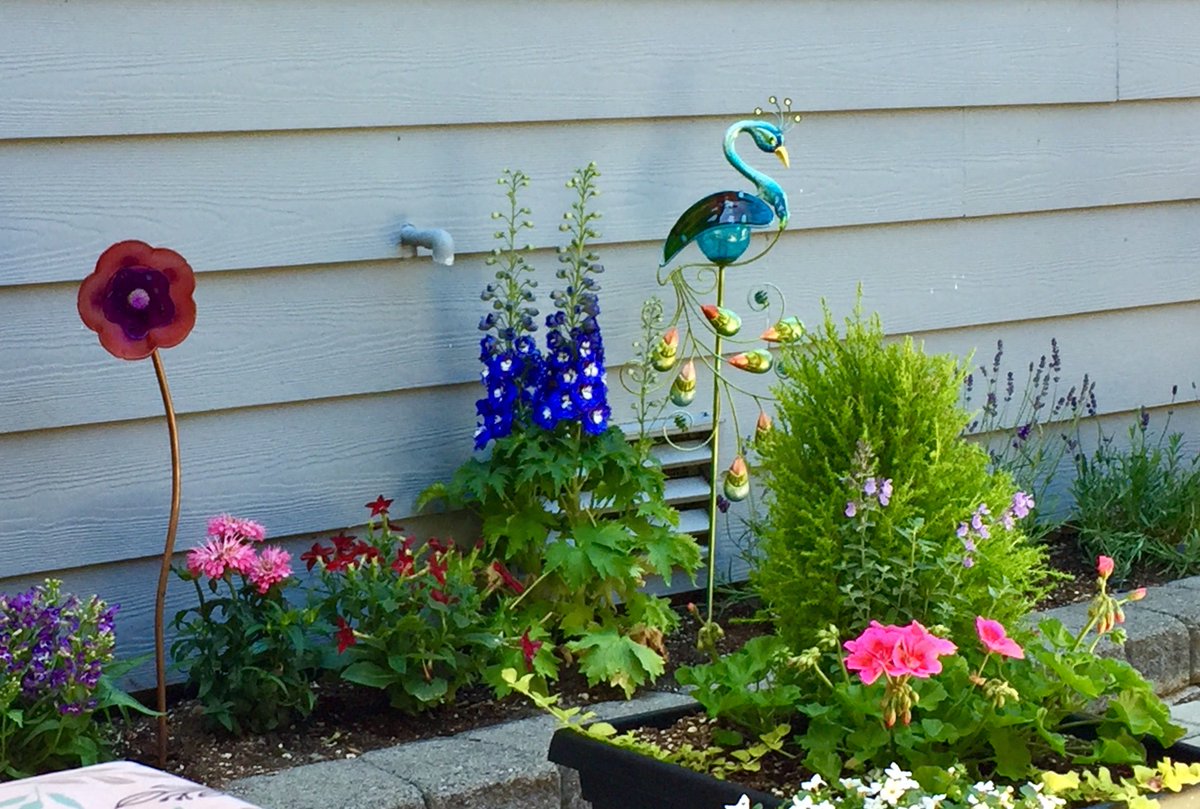 GemmaMouse's tweet photo. After I settle into my new house, I would like to adventure here. The bird looks friendly. His name is Paul. #TinyAdventure https://t.co/viaYBSC5jk